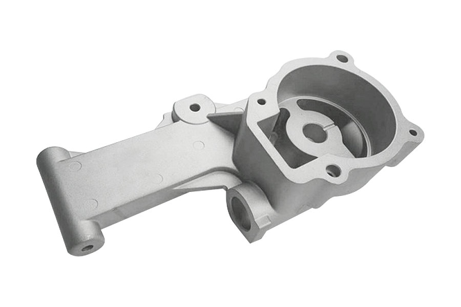 Manufacturers vendite High Quality customized Eruca accessiones